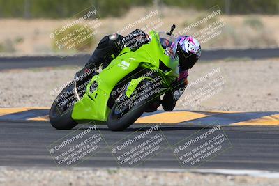 media/Mar-09-2024-SoCal Trackdays (Sat) [[bef1deb9bf]]/9-Turn 6 (2pm)/